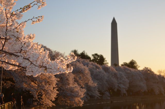 DC Memorial - A Symbol of American History and Patriotism