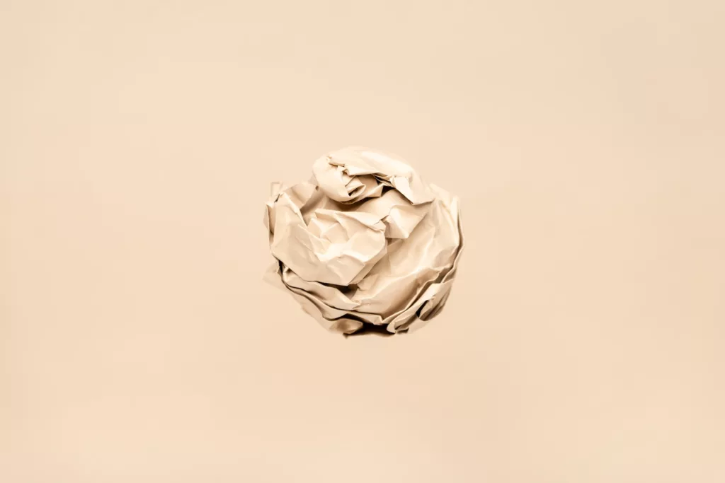White paper rose in white background photo.