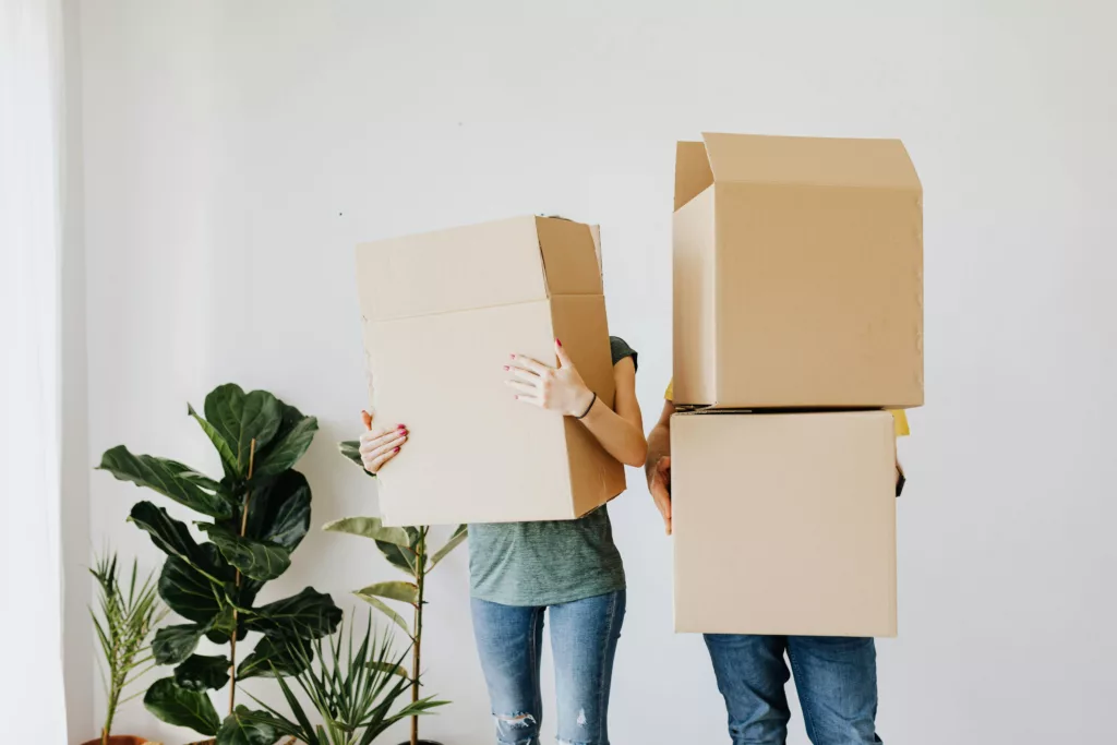 Two people standing side by side, each with a large cardboard box covering everything except their legs, in a room with white walls and green potted plants, symbolizing a shared effort in moving, possibly into a new apartment together as roommates.