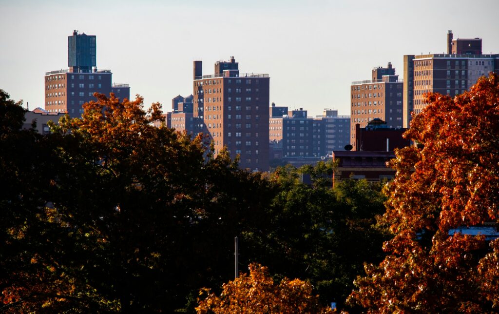 Cityscape view of several apartment buildings in the background with trees showcasing autumn foliage in the foreground.