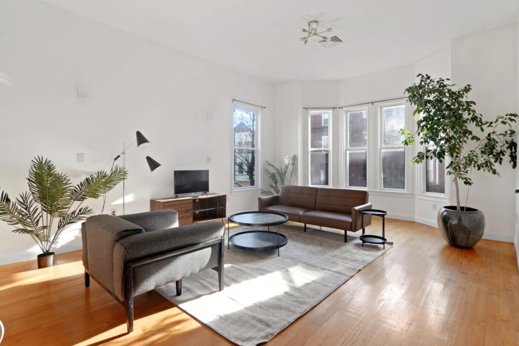 A spacious and well-lit living room in Boston, featuring contemporary furniture, a large rug, and greenery adding a fresh touch.