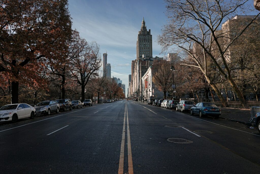 Cars parked on NYC roadside near bare trees during daytime photo