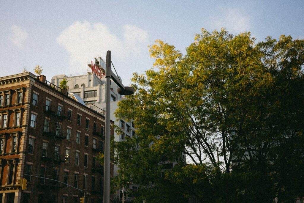 Brooklyn street with a tall building in the background photo