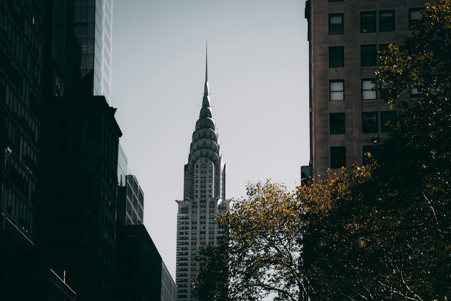 Where to Find Rooms for Rent in the USA: A Complete Guide